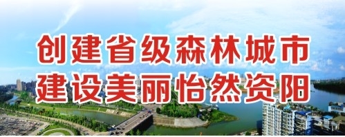 黄片网站啊啊啊啊创建省级森林城市 建设美丽怡然资阳